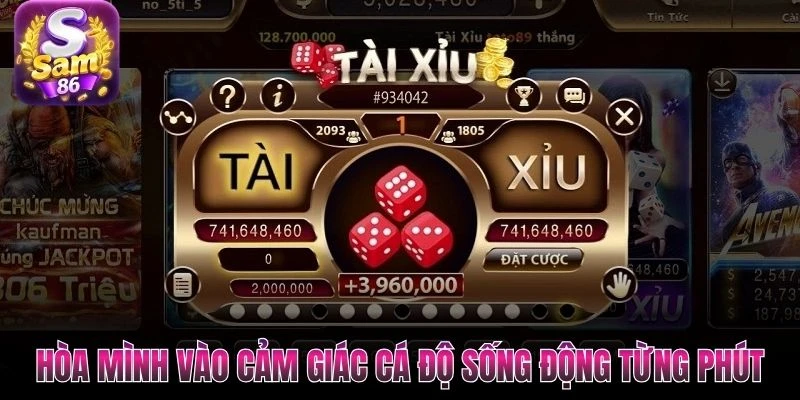 Hòa mình vào cảm giác cá độ sống động từng phút